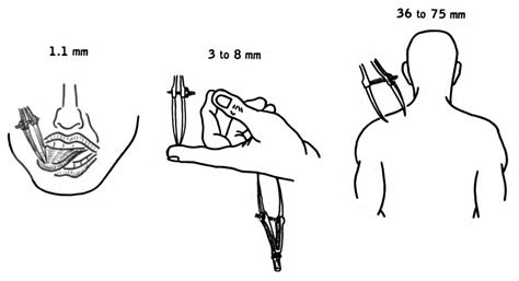 weber two point discrimination test